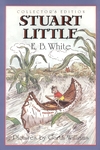 Click here to enlarge the image (it will open in another window).