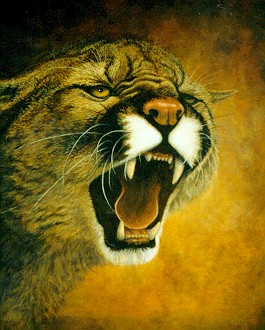 Panther