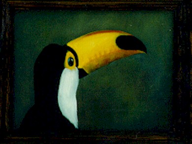 Toucan