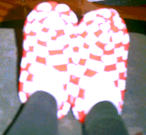 The Original Slippers!