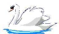 The Cygne