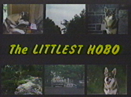 THE LITTLEST HOBO!!