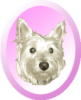 winking dog