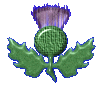 thistle