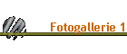 Fotogallerie 1