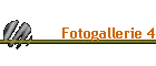 Fotogallerie 4