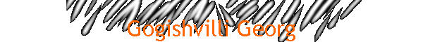 Gogishvilli Georg