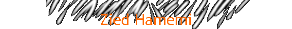 Zied Hamemi