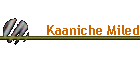 Kaaniche Miled