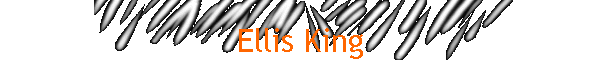 Ellis King