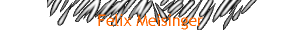Felix Meisinger