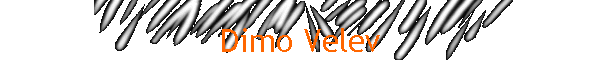 Dimo Velev