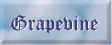grapevine button
