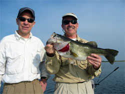 Tim&Steve 6.10oz Bass