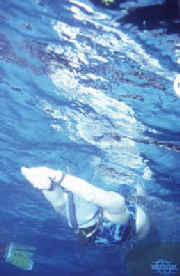 Velocidad Subacutica