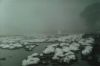 click to see larger picture, what it looks like with snow!