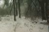 click to see larger picture of real snow at Polblue