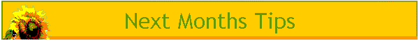 Next Months Tips