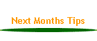 Next Months Tips