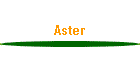 Aster