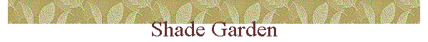 Shade Garden