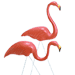 birds.gif (1655 bytes)