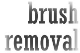 brush removal