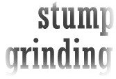 stump grinding