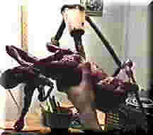 Sprues
