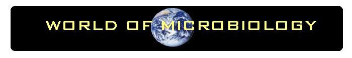 World of Microbiology Logo