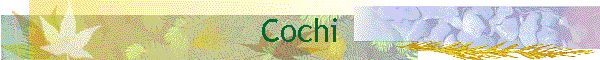 Cochi