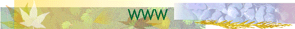 WWW
