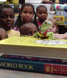 herbie on a book in the classroom