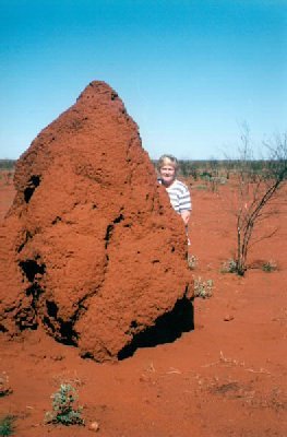 Ant Hills