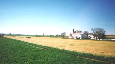 Amish Countryside
