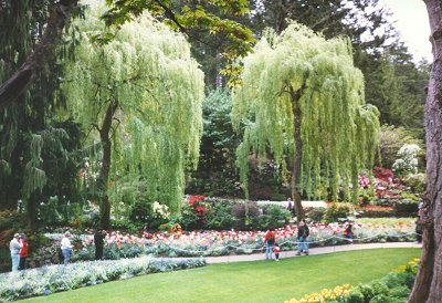 Butchart Gardens