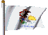 IL flag