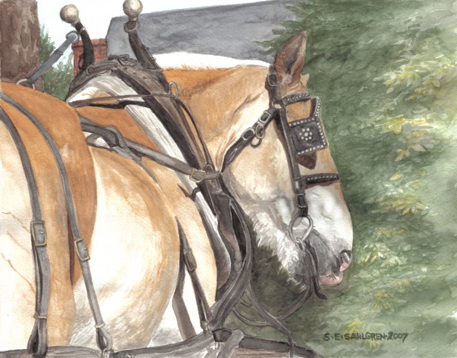 Arby the Horse