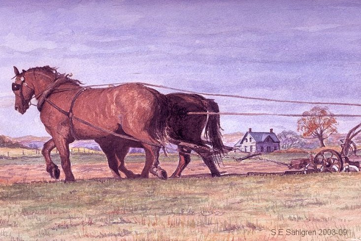 Johnny McCarthy's Heavy Horse Team