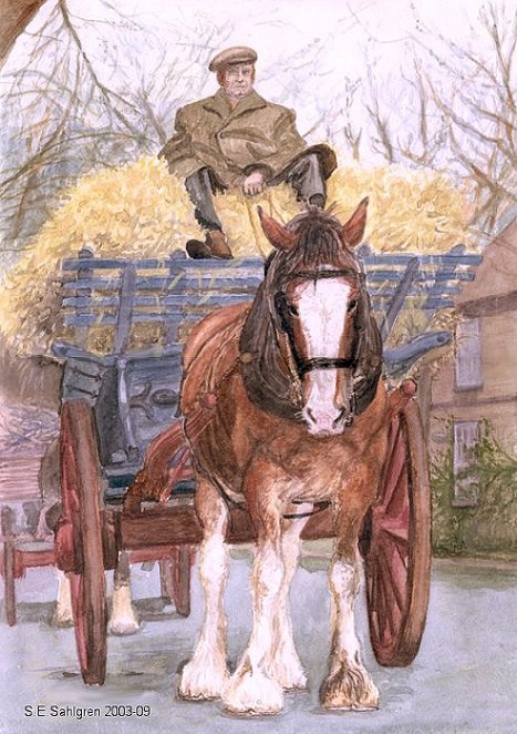 Murphy's mare