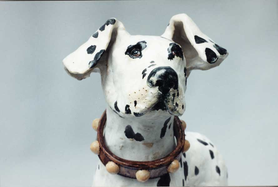 dalmation