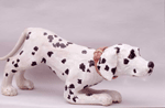 croutching dalmation