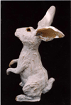 Winter Hare