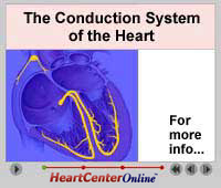  Conduction System: The heart has its own electric pacemaker, which regulates the heartbeat. Specialized nerves send signals to the pumping chambers, telling them to contract.