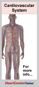 Cardiovascular System: The cardiovascular system is the body's road network, transporting 300 quarts of blood an hour through almost 60,000 miles of blood vessels in the average adult. 