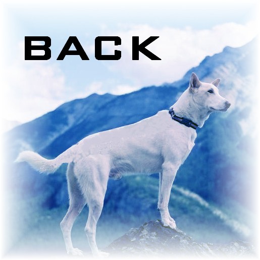Back to Health Index