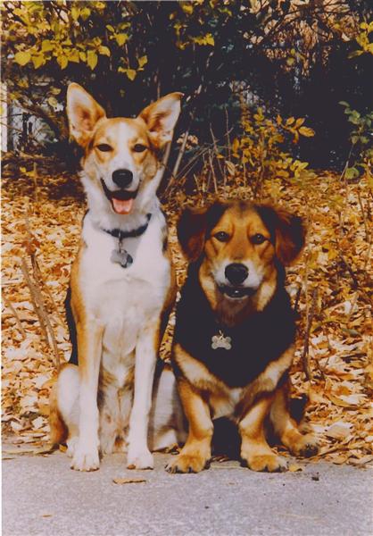 Jessie and Sam