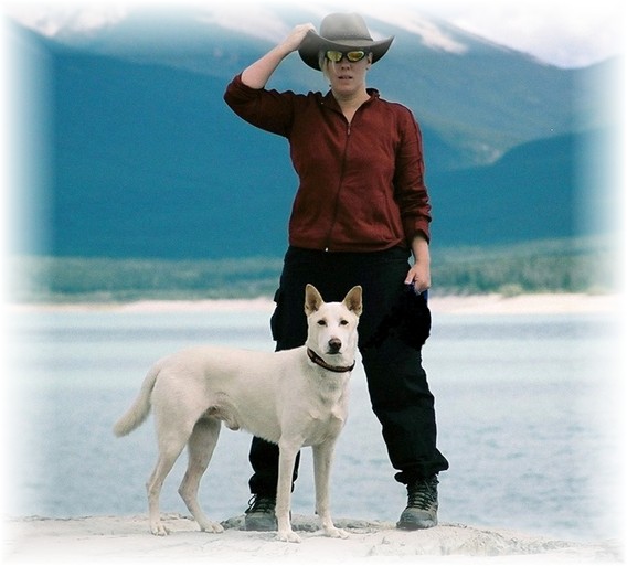 Cosmic Cowgirl and the Regal Beagle