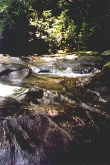 Linn Run State Park