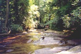 Linn Run State Park